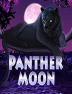 สมัคร sand1988 ลองเล่นเฮ้ย! มันส์จริง 555